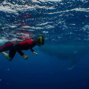 Meet your Posher, Michele